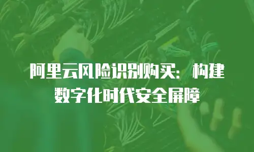 阿里云风险识别购买：构建数字化时代安全屏障