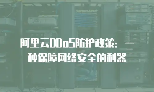阿里云DDoS防护政策：一种保障网络安全的利器