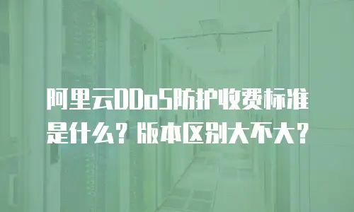 阿里云DDoS防护收费标准是什么？版本区别大不大？