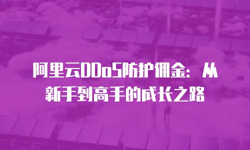 阿里云DDoS防护佣金：从新手到高手的成长之路