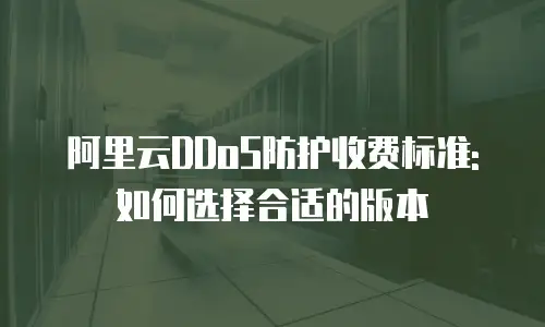 阿里云DDoS防护收费标准:如何选择合适的版本