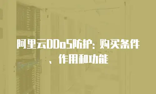 阿里云DDoS防护: 购买条件、作用和功能