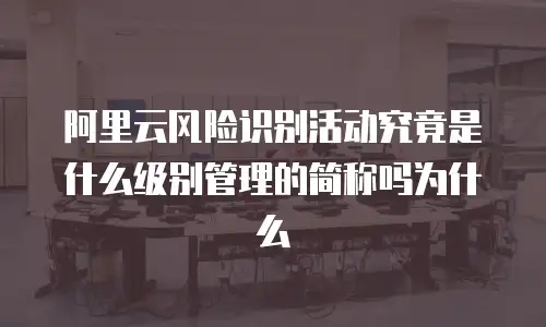 阿里云风险识别活动究竟是什么级别管理的简称吗为什么