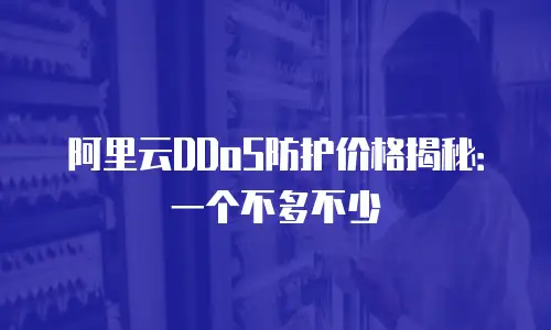 阿里云DDoS防护价格揭秘：一个不多不少