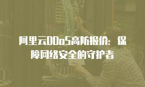 阿里云DDoS高防报价：保障网络安全的守护者