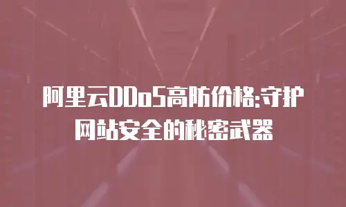阿里云DDoS高防价格:守护网站安全的秘密武器