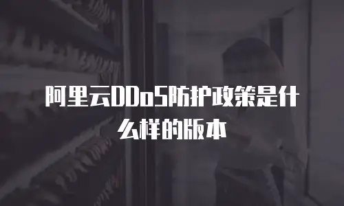 阿里云DDoS防护政策是什么样的版本