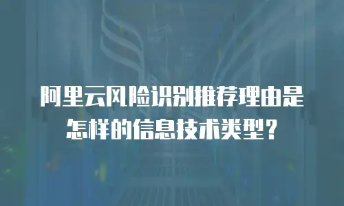 阿里云风险识别推荐理由是怎样的信息技术类型？