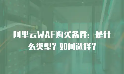 阿里云WAF购买条件：是什么类型？如何选择？