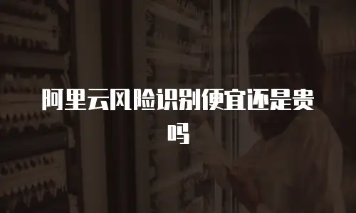 阿里云风险识别便宜还是贵吗