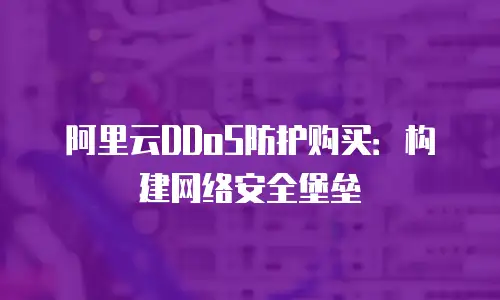阿里云DDoS防护购买：构建网络安全堡垒