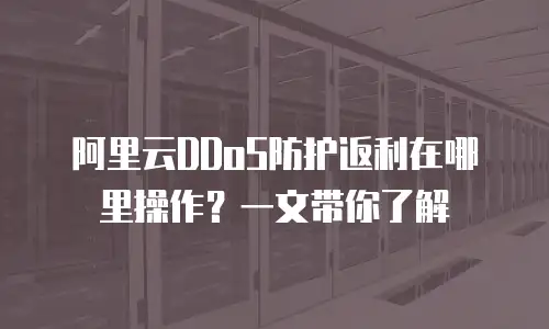 阿里云DDoS防护返利在哪里操作？一文带你了解