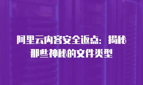 阿里云内容安全返点：揭秘那些神秘的文件类型
