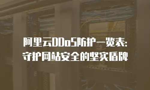 阿里云DDoS防护一览表：守护网站安全的坚实盾牌
