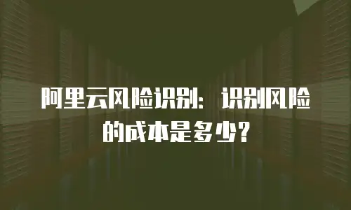 阿里云风险识别：识别风险的成本是多少？