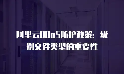 阿里云DDoS防护政策：级别文件类型的重要性