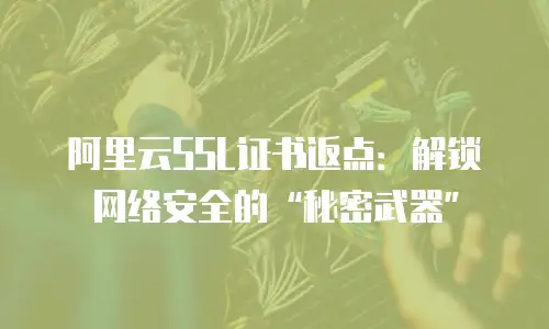 阿里云SSL证书返点：解锁网络安全的“秘密武器”