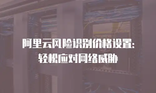 阿里云风险识别价格设置：轻松应对网络威胁