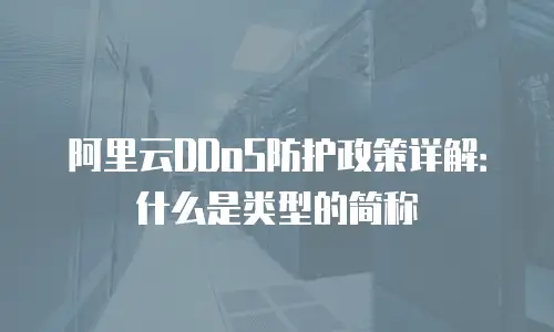 阿里云DDoS防护政策详解：什么是类型的简称