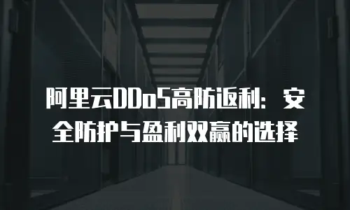 阿里云DDoS高防返利：安全防护与盈利双赢的选择