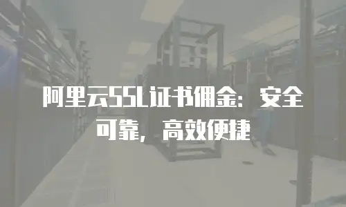 阿里云SSL证书佣金：安全可靠，高效便捷