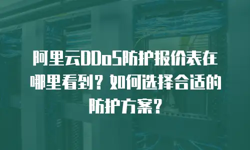 阿里云DDoS防护报价表在哪里看到？如何选择合适的防护方案？