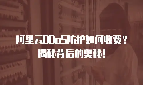 阿里云DDoS防护如何收费？揭秘背后的奥秘！