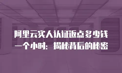 阿里云实人认证返点多少钱一个小时：揭秘背后的秘密