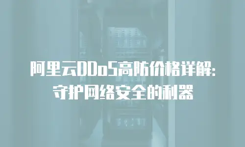 阿里云DDoS高防价格详解：守护网络安全的利器