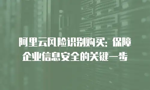 阿里云风险识别购买: 保障企业信息安全的关键一步