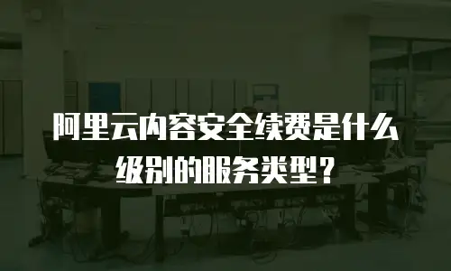 阿里云内容安全续费是什么级别的服务类型？