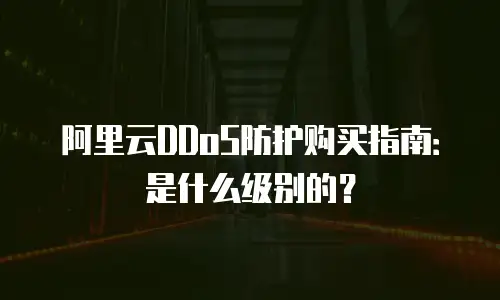 阿里云DDoS防护购买指南：是什么级别的？