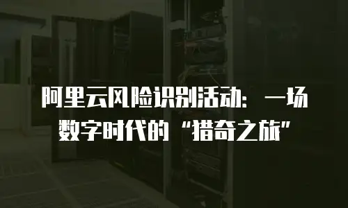 阿里云风险识别活动：一场数字时代的“猎奇之旅”