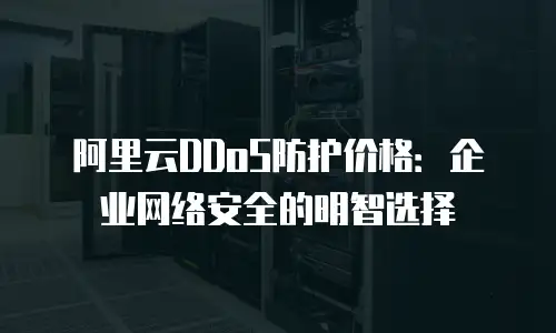 阿里云DDoS防护价格：企业网络安全的明智选择