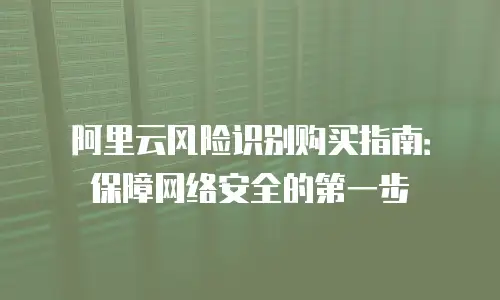 阿里云风险识别购买指南：保障网络安全的第一步