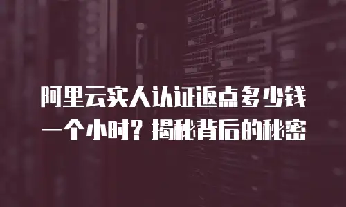 阿里云实人认证返点多少钱一个小时？揭秘背后的秘密