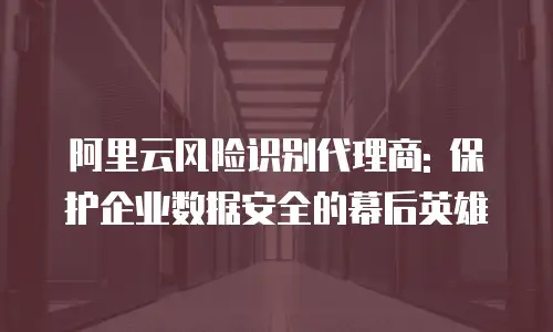 阿里云风险识别代理商: 保护企业数据安全的幕后英雄