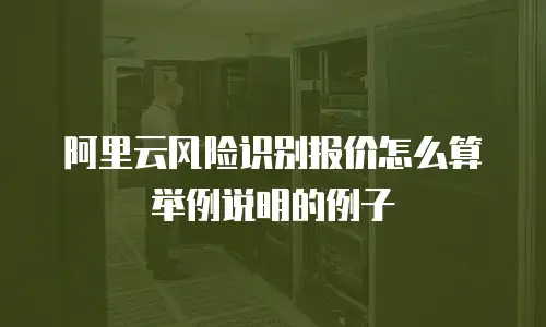 阿里云风险识别报价怎么算举例说明的例子