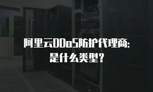 阿里云DDoS防护代理商：是什么类型？