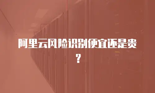 阿里云风险识别便宜还是贵？