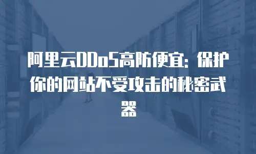 阿里云DDoS高防便宜: 保护你的网站不受攻击的秘密武器