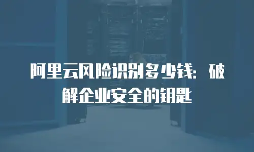阿里云风险识别多少钱：破解企业安全的钥匙