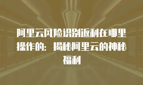 阿里云风险识别返利在哪里操作的：揭秘阿里云的神秘福利