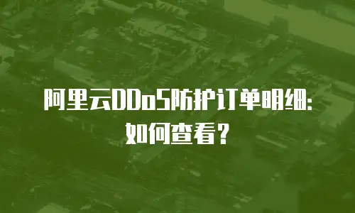 阿里云DDoS防护订单明细：如何查看？