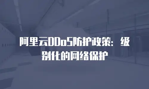 阿里云DDoS防护政策：级别化的网络保护