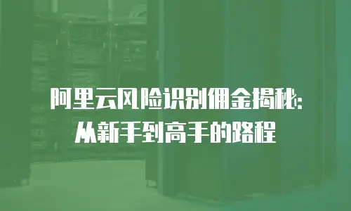 阿里云风险识别佣金揭秘：从新手到高手的路程
