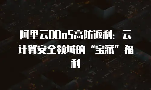 阿里云DDoS高防返利：云计算安全领域的“宝藏”福利