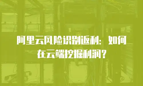 阿里云风险识别返利：如何在云端挖掘利润？