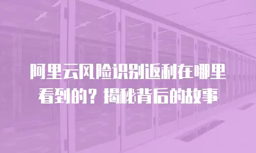 阿里云风险识别返利在哪里看到的？揭秘背后的故事