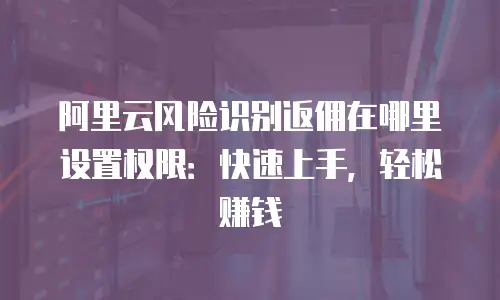 阿里云风险识别返佣在哪里设置权限：快速上手，轻松赚钱